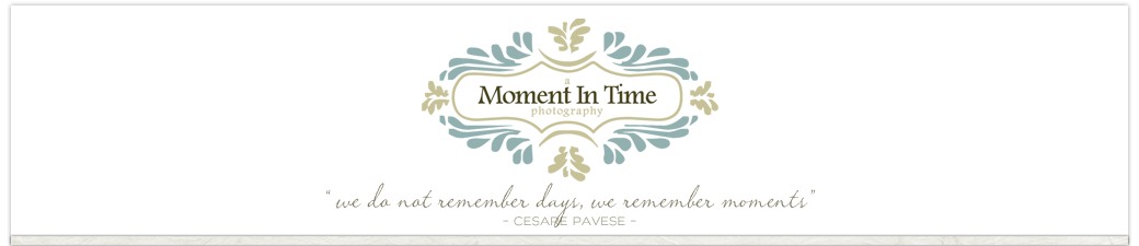 A Moment in Time Photography logo
